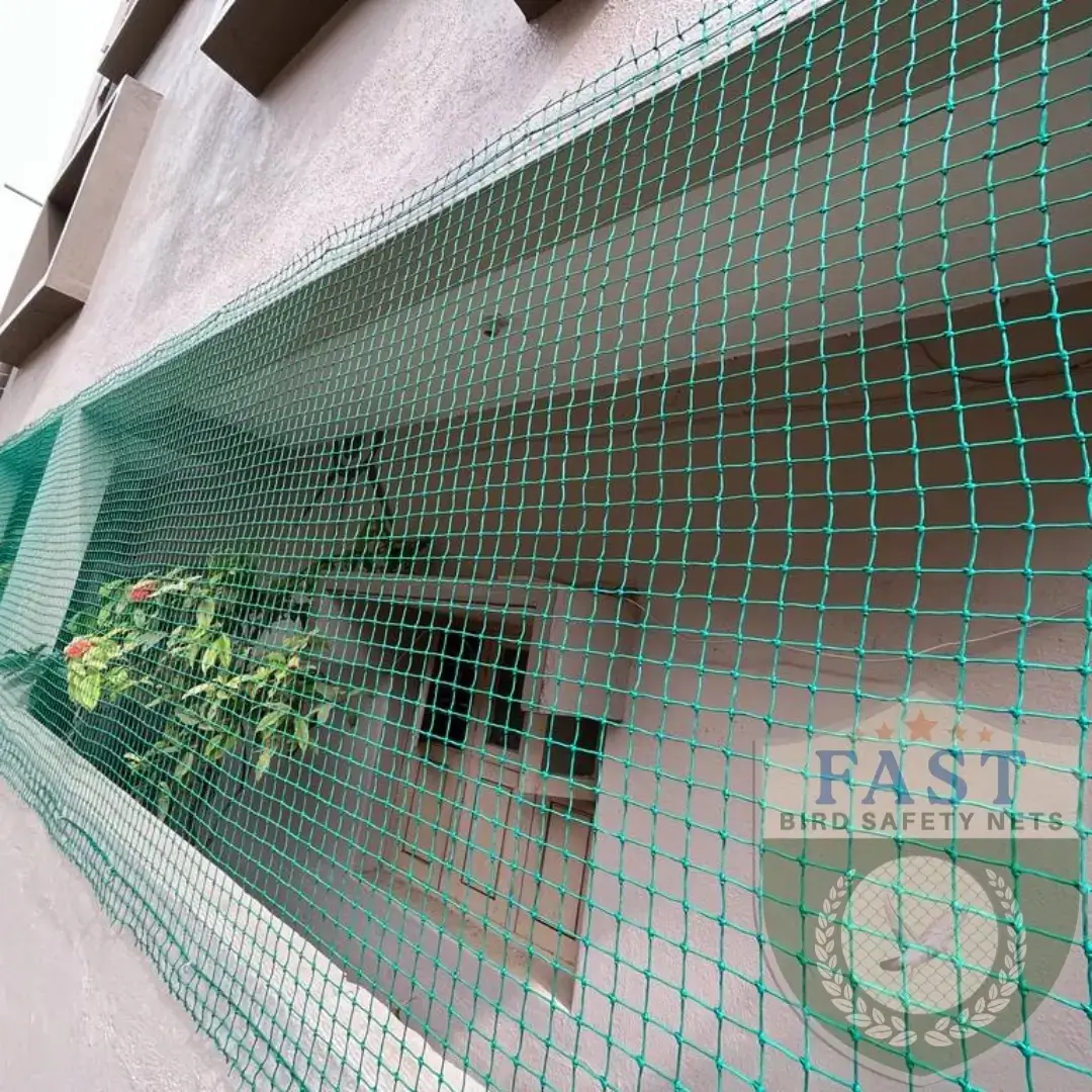 Green Anti Bird Net Installation in Hyderabad