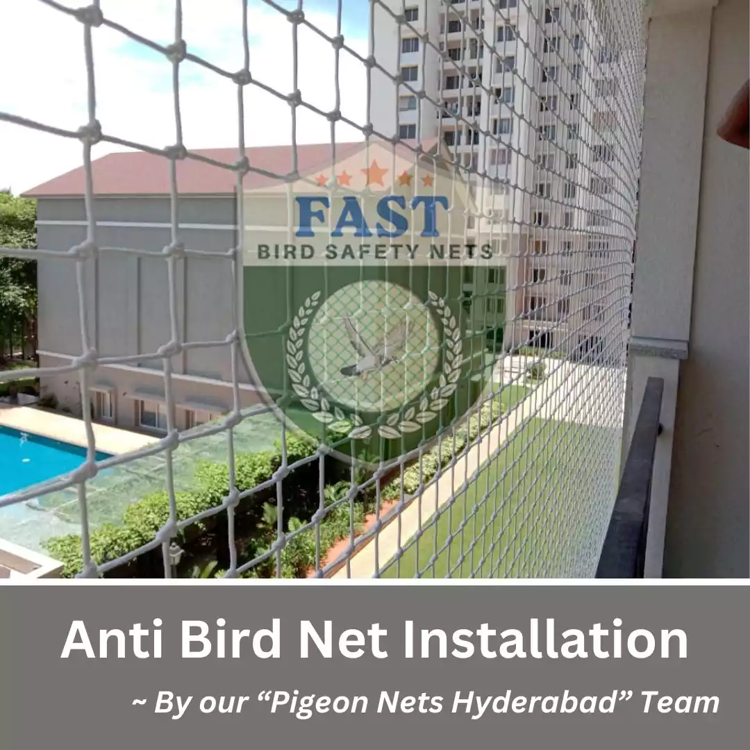 White Anti Bird Net With Free Installation Service