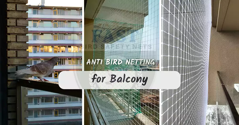 White Colour Anti Bird Nets in Hyderabad