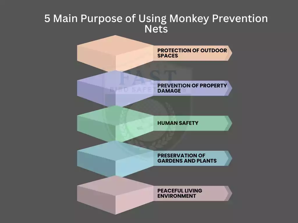 Why we Install Monkey Prevention Net in Hyderabad