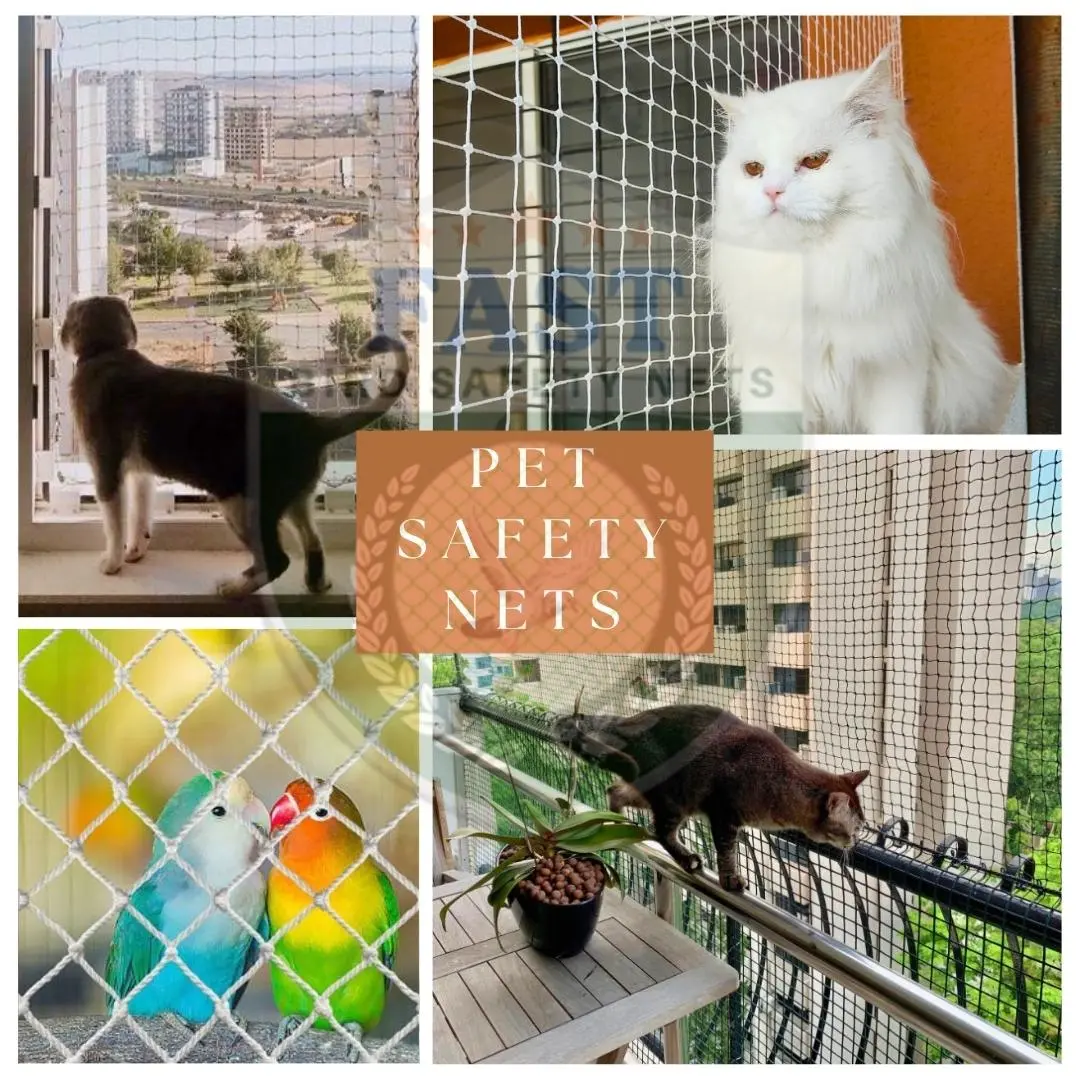 Pet Safety Net Price in Hyderabad