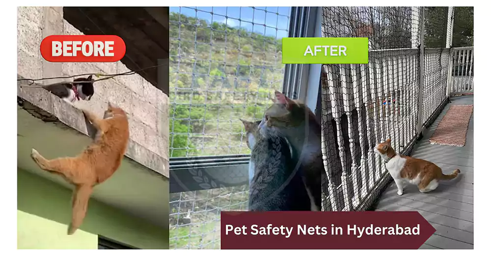 Anti Fall Netting for Pet Safety in Hyderabad