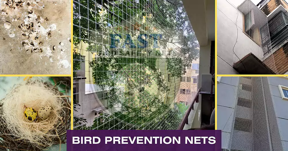 How to Prevent Birds Effeciently From Home