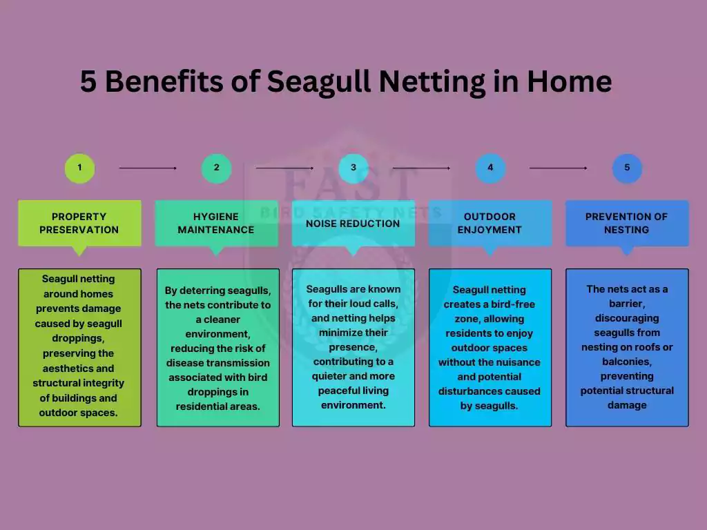 5 Benefits of Installing Seagull Net