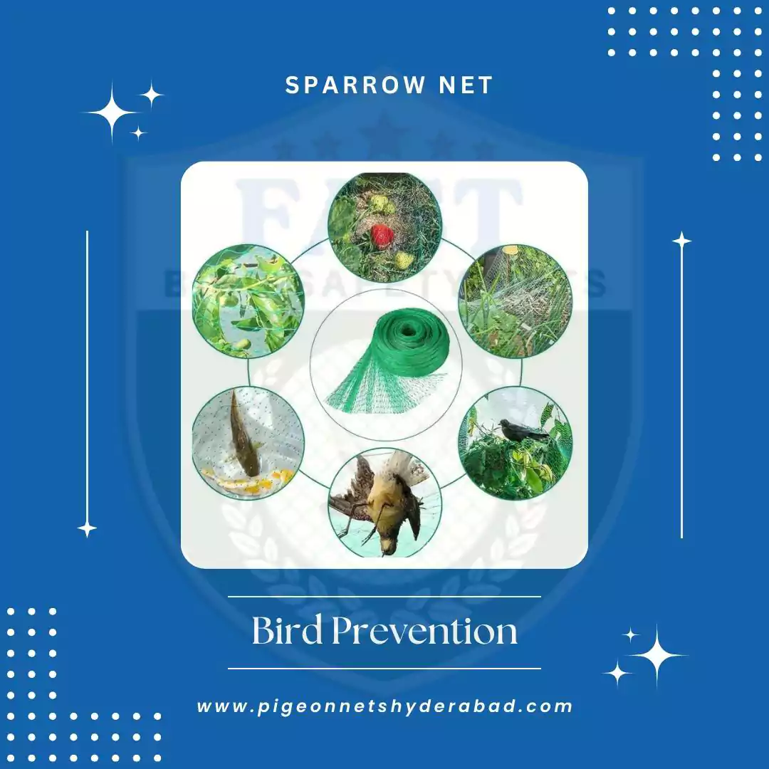 Sparrow Protection Net Installation - Fast Safety Nets