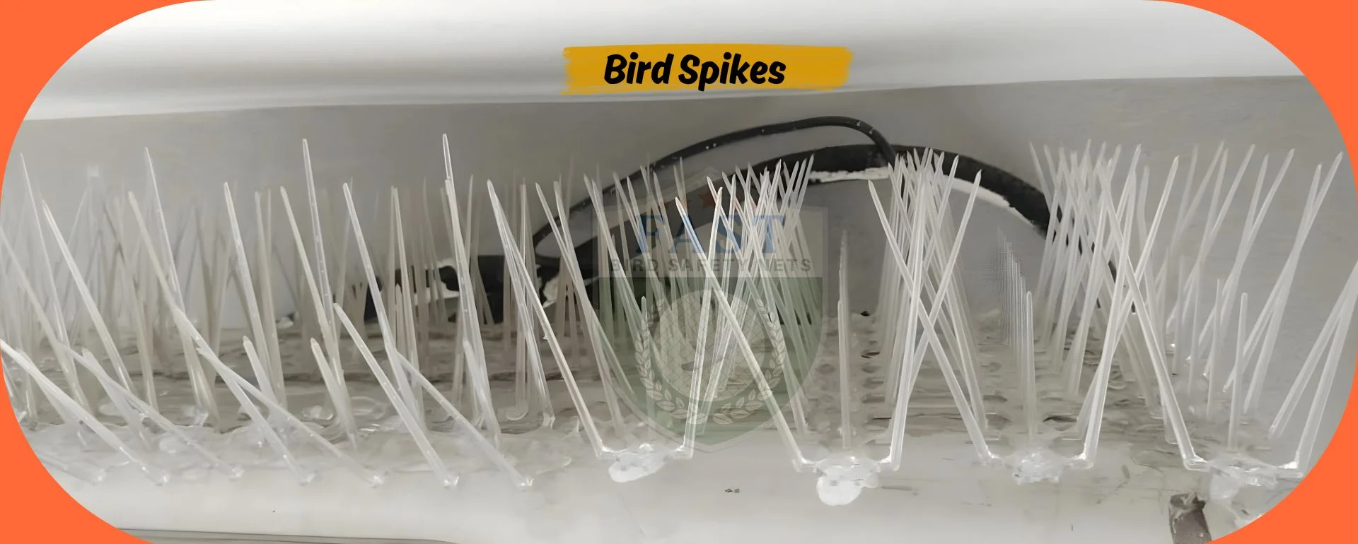Bird Spikes Installation in Hyderabad  Call Us 9363632161