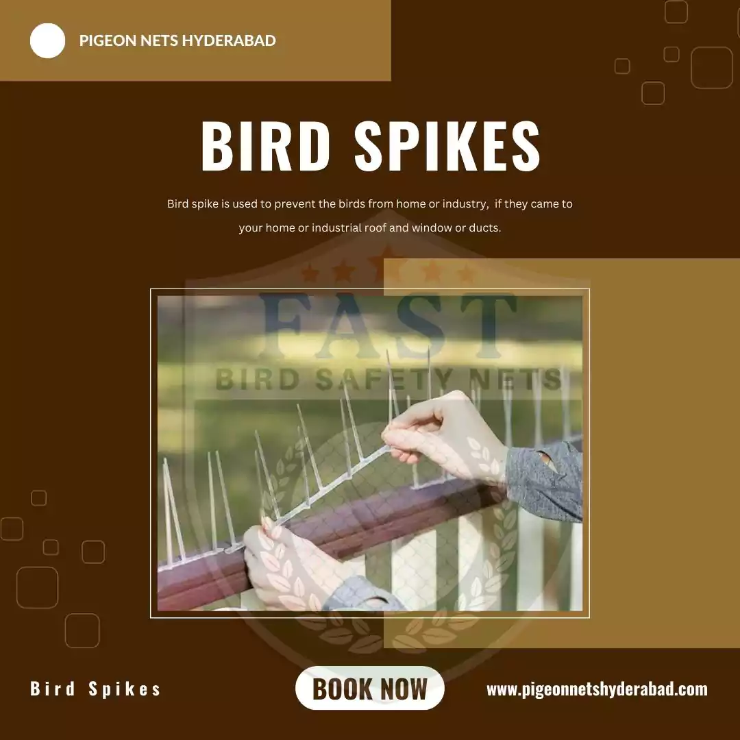 Bird Spikes For Window Sills in Hyderabad