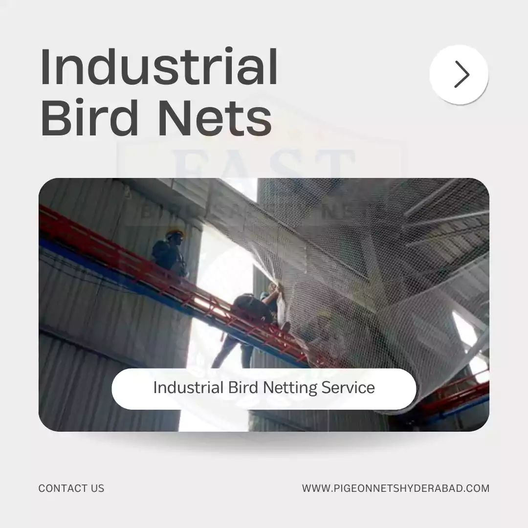Industrial Bird Control Nets