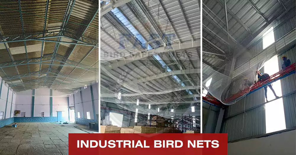 Industrial Bird Netting Installation in Hyderabad