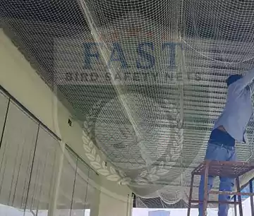 Bird Nets to avoid pigeon droppings