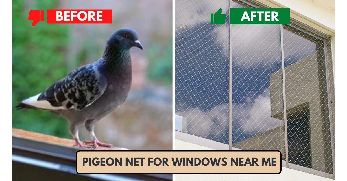 Pigeon Net for Windows Near Me in Hyderabad