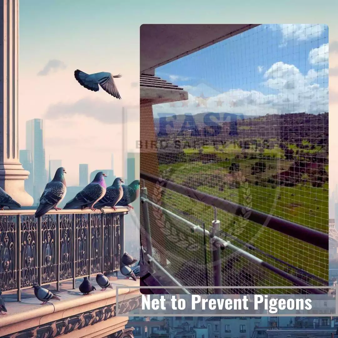 Prevent Pigeons in Balcony