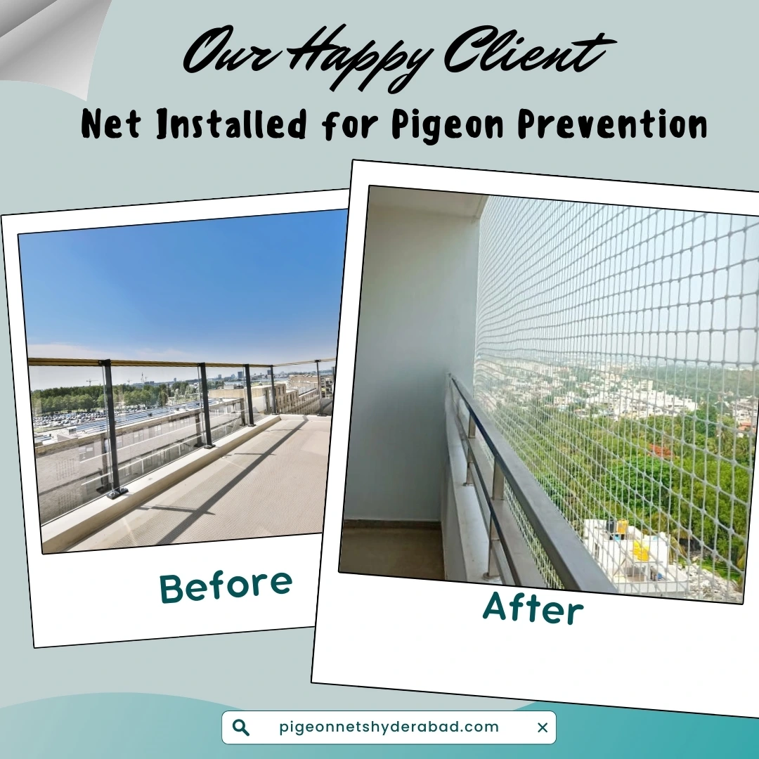 Net  Installed to prevent pigeons in Hyderabad
