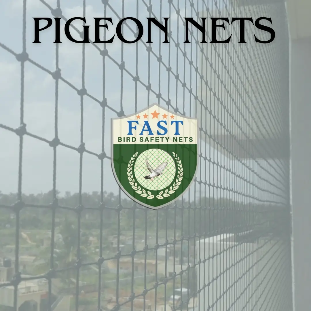 Net  Installed to prevent pigeons in Hyderabad
