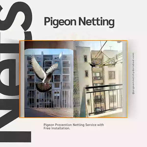 Pigeon Netting Services Near Me