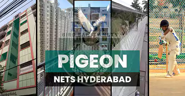 Pigeon Nets Hyderabad with Free Installation