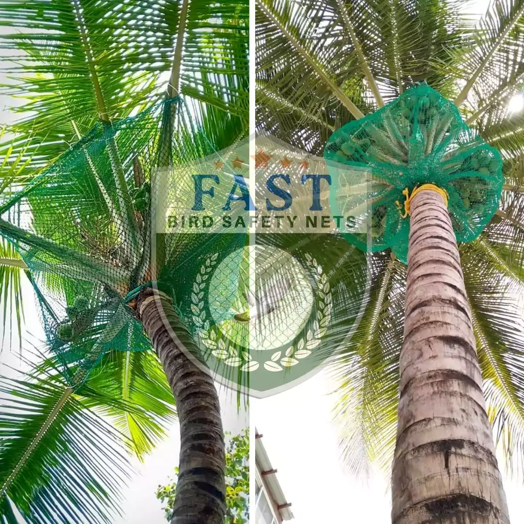 Green Color Coconut Tree Netting