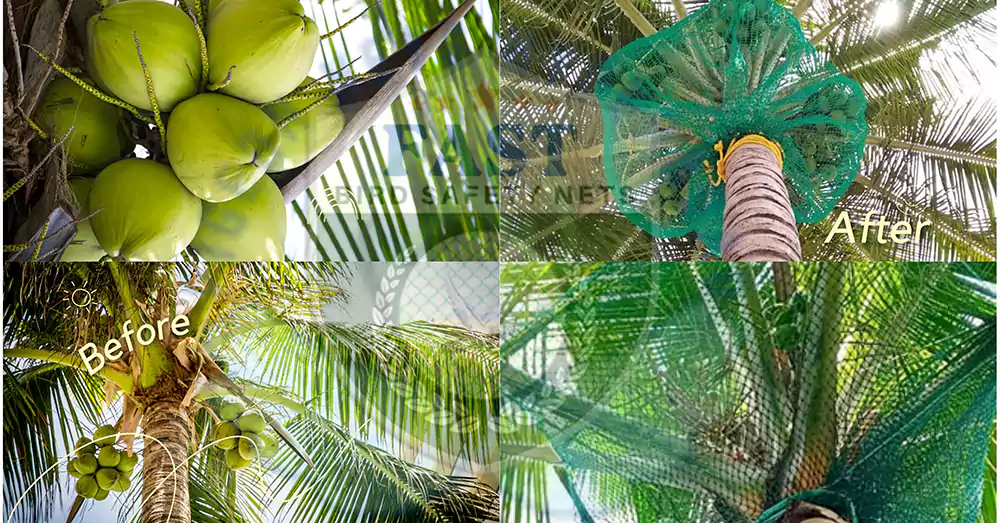 Green Nylon Coconut Tree Safety Nets in hyderabad