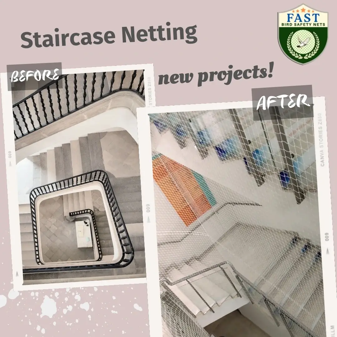 Staircase Safety Netting Installed in Hyderabad