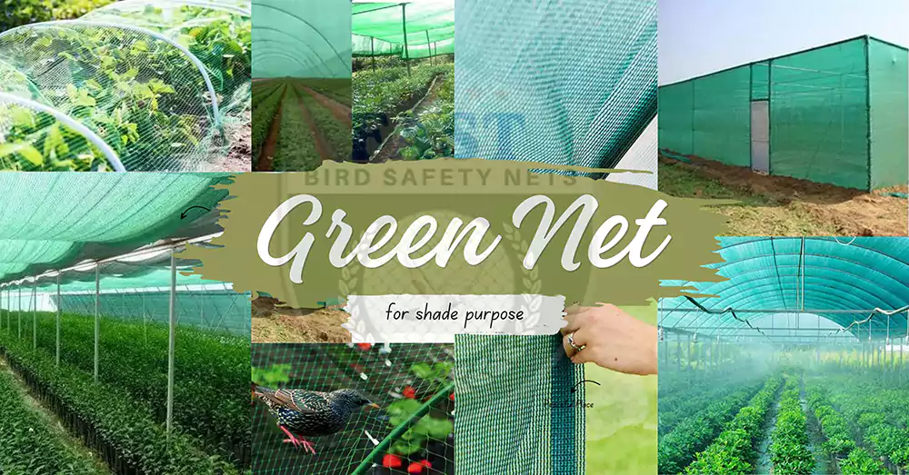 Green Nylon Green Shade Net Installation Services in Hyderabad
