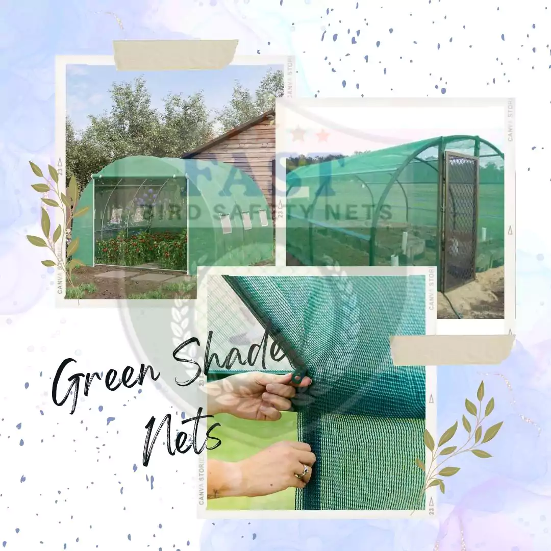 Green Shade Net for Gardening and Agriculture