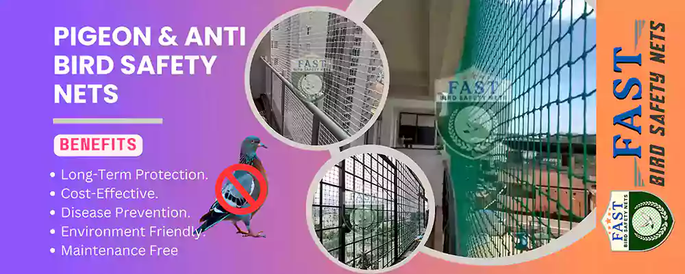 Pigeon and Anti Bird Safety Nets in Hyderabad